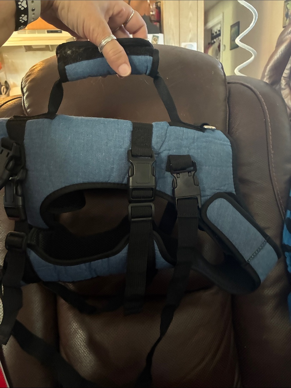 Pet carry bag/backpack